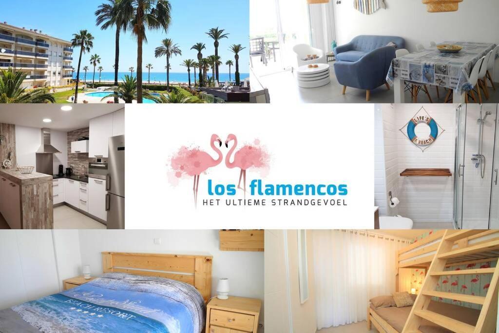 New! Modern Apartment Right On The Beach! 迈阿密普拉特亚 外观 照片