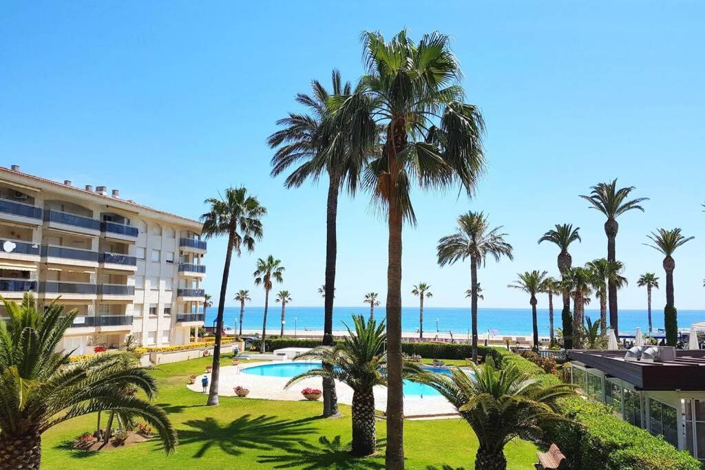 New! Modern Apartment Right On The Beach! 迈阿密普拉特亚 外观 照片